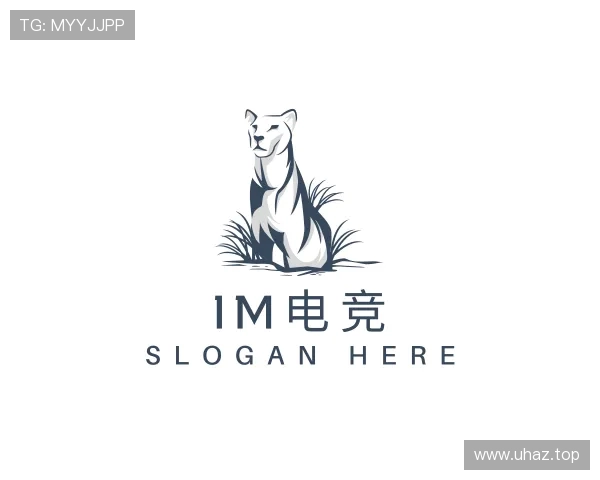 认识IM平台